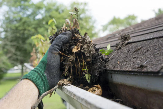 Think Gutter Guards Mean No Cleaning? Think Again!