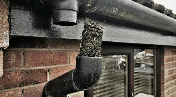 The Hidden Danger of Blocked Downpipes: Why Your Insurance Won't Pay