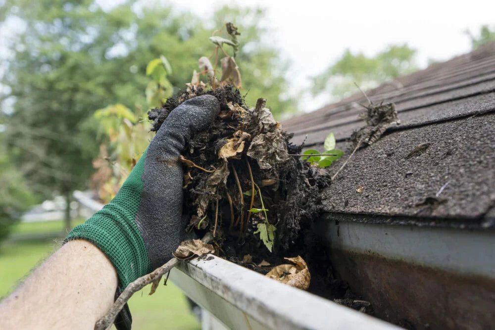 Think Gutter Guards Mean No Cleaning? Think Again!