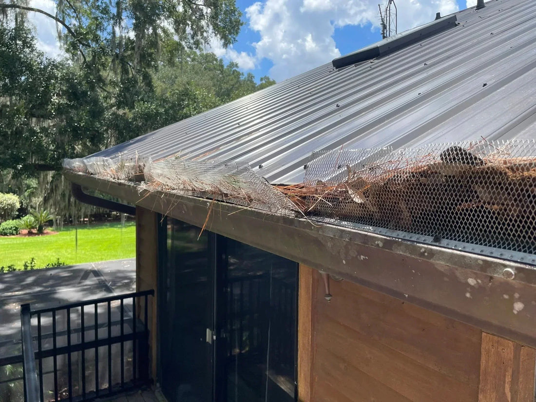 Beyond Gutter Guard: Better Solutions for Gutter Maintenance