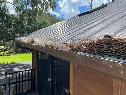 Beyond Gutter Guard: Better Solutions for Gutter Maintenance